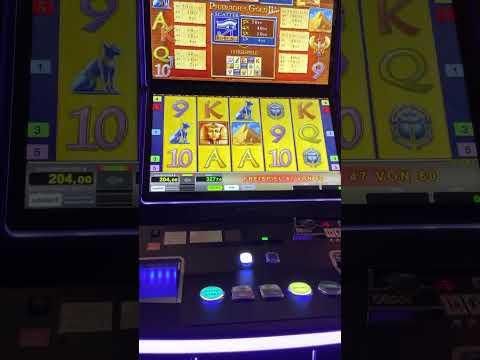 Pharaoh’s Gold #casino #spielothek #merkurmagie #eyeofhorus #novoline #spielhalle #slots