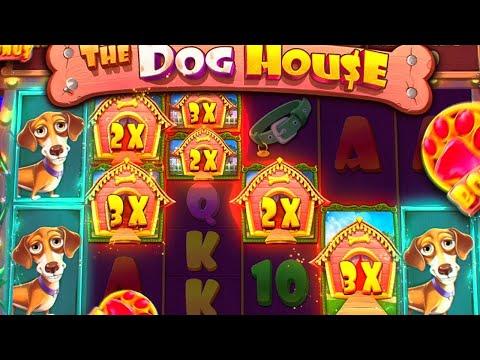 БЕШЕНЫЕ СОБАКИ ДАЮТ БЕШЕНЫЙ ОКУП! / Бонус В Слоте The Dog House / заносы недели