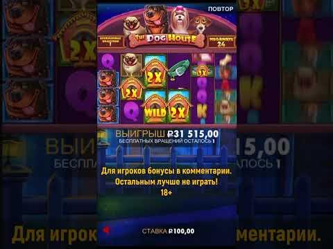 Занос в Dog House Megways 100 X3691 BIG WIN Pragmatic Play