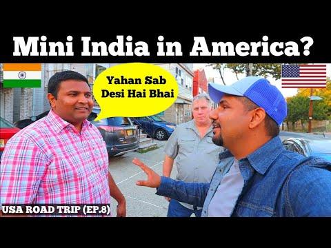 Mini INDIA In AMERICA 