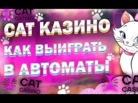 Cat казино официальный | обзор промокод и отзывы игроков