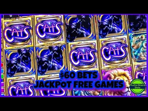 CATS SLOT MACHINE/ FIRST JACKPOT ON THIS GAME/ HIGH LIMIT/ $60 BETS/ JACKPOT/ FREE GAMES