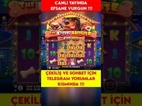 Dog House L CANLI YAYINDA SON 600TL DEN DEVASA VURGUN !!! #doghouse #slot #casino #keşfet #shorts