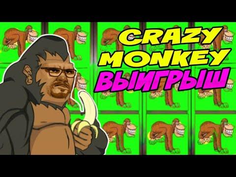 CRAZY MONKEY ОБЕЗЬЯНКИ 