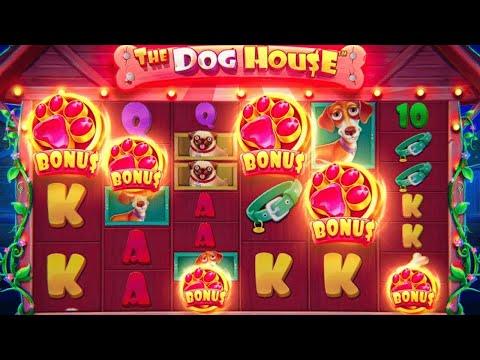 СДЕЛАЛ 500 СПИНОВ В DOGHOUSE MEGAWAYS И ВЫБИЛ ЭТО...