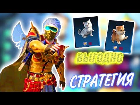 СТРАТЕГИЯ как выгодно получить питомца в Pubg Mobile (за 300 UC)