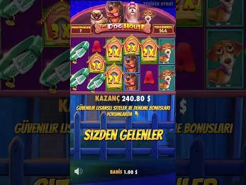 Bu Kadar Çok Wild Gördünüz Mü ? Part 3 - The Dog House Megaways Rekor Kazanç - #casino #slot