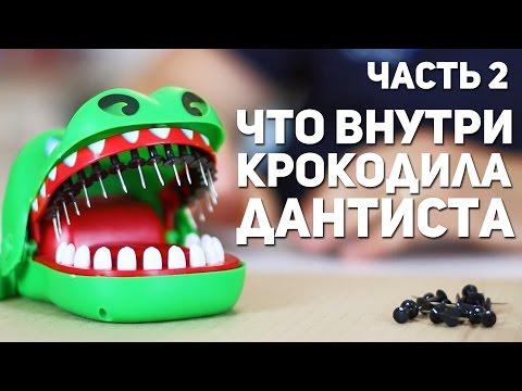 Что внутри экстремального крокодила - дантиста