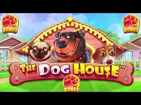 Dog House - Bonus Music - Pragmatic Play