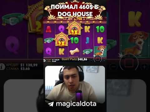 ПОЙМАЛ ХОРОШИЙ БОНУС В DOG HOUSE #bigwin  #casino  #заносынедели  #стримыказино #казино #shorts