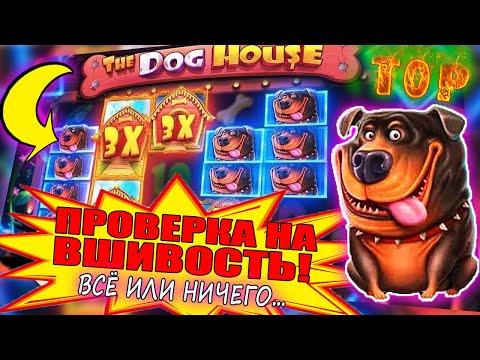 ШОК РЕАКЦИЯ DOG HOUSE - ВСЁ ИЛИ НИЧЕГО! КРУПНЫЙ ЗАНОС КАЗИНО ВАВАДА В СЛОТЕ СОБАКИ. РЕАЛЬНО ЛИ?