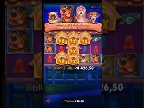 бонус в The Dog House #casino #doghouse #занос