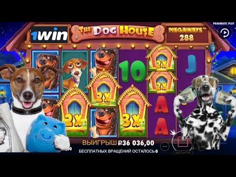 THE DOG HOUSE MEGAWAYS ВОТ ЭТО ПОВОРОТ! #казино #слоты #заносынедели #1win #pragmaticplay