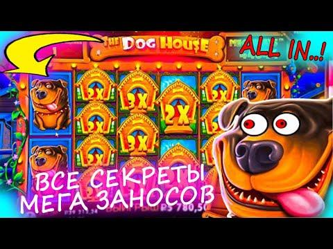 СОБАКИ ИГРАЮТ?| ОКУПАЮ БОНУСКИ ДОГ ХАУС| ТОП ЗАНОСЫ КАЗИНО ОНЛАЙН| ALL IN DOG HOUSE| ПРОВЕРКА VAVADA