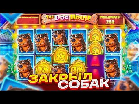 ПОЙМАЛ НЕВЕРОЯТНЫЙ ЗАНОС НА 100.000Р В DOG HOUSE MEGAWAYS | ЗАНОС НЕДЕЛИ DOG HOUSE