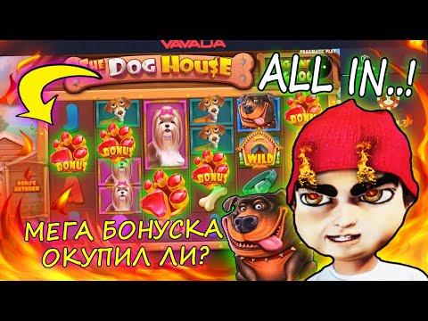 ALL IN DOG HOUSE! КАК ПРАВИЛЬНО ОКУПИТЬ МЕГА БОНУСКУ? ВСЁ ИЛИ НИЧЕГО В СЛОТЕ СОБАКИ. КАЗИНО ВАВАДА.