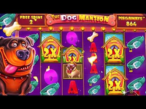 I Did 100 $10 SPINS On THE NEW 'DOG MANSION' SLOT!