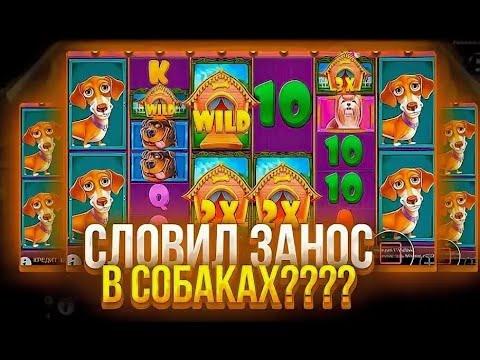 ПОЙМАЛ ЗАНОС В DOG HOUSE ПО СТАВКЕ В 200 РУБЛЕЙ И ВЕРНУЛ ВЕСЬ БАЛАНС!