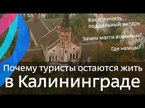 Почему туристы остаются жить в Калининграде, что там такого вообще есть и что смотреть в поездке.