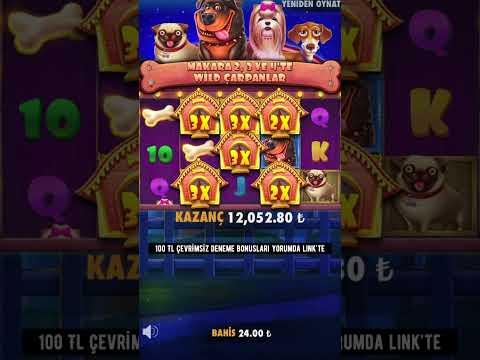 24 TL Bahse Girdik Süper Kazanç Sağladık | The Dog House Mega Kazanç | #casino #slot #shorts