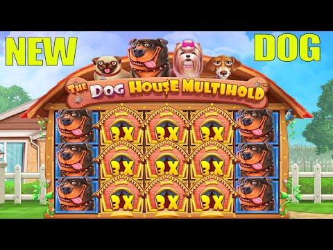 THE DOG HOUSE MULTIHOLD - BONUS BUY BIG CASINO WIN