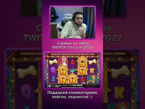 Dog House занос по 220 рублей у БУЛЫЧа #булыч #занос #casino #shorts #казино #LuckyZO21