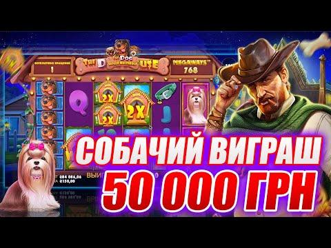 The Dog House Megaways | Заносимо в Dog House | Собачий виграш 50 000 грн