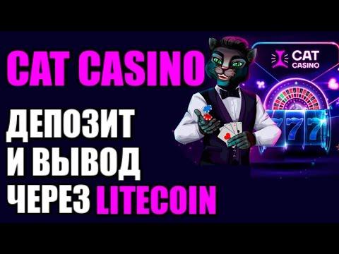 Cat Casino как пополнить счёт ? Как вывести деньги через крипту LiteCoin? Зеркало и официальный сайт