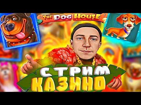 Казино стрим 