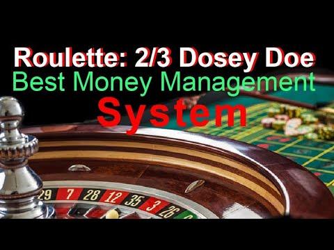 PROFESSIONAL ROULETTE STRATEGY 2/3 DOZENS THE DOSEY DOE