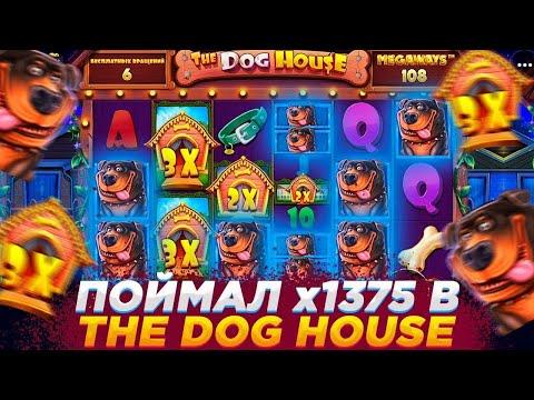 ПОЙМАЛ ЗАНОС 17К ЗА СПИН В DOG HOUSE MEGAWAYS И КАМБЕКНУЛ БАЛАНС!