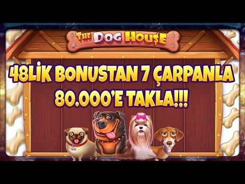 DOG HOUSE | REKOOOR!YAPTIĞIN YOK ARTIK DERDİRTİR #slot #casino #doghouse #dog