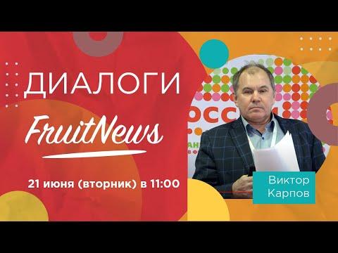 Диалог о жимолости с Виктором Карповым