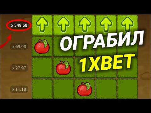 ЛУЧШАЯ В 2023 ГОДУ СТРАТЕГИЯ НА ЯБЛОЧКИ В 1XBET. БЕСПРОИГРЫШНАЯ СТРАТЕГИЯ 1XBET