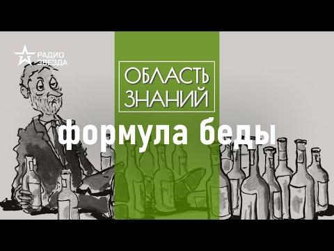 Как алкоголь ломает мозг. Лекции нейробиолога Вячеслава Дубынина