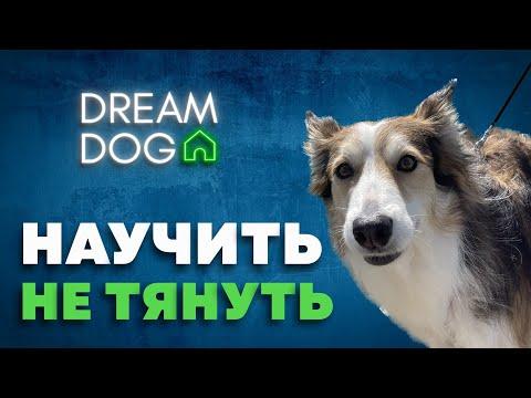 Научить не тянуть 