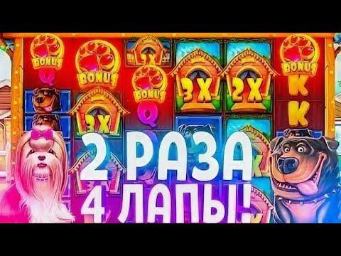 ПОЙМАЛ ЗАНОС НА 4 ЛАПАХ ПО СТАВКЕ В 400Р DOG HOUSE MEGAWAYS!