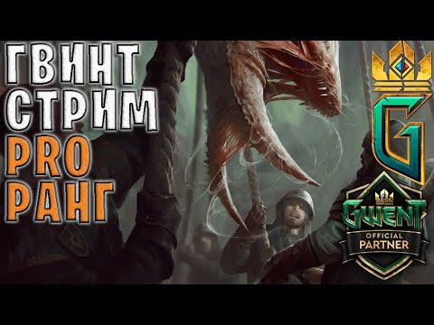 НОЧНОЙ СТРИМ — Гвинт | Gwent