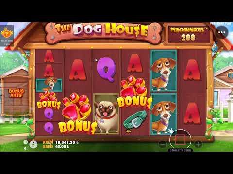 Casino THE DOG HOUSE MEGAWAYS Büyük Riski Aldım Vurgunu Koyduk #casino #slot #thedoghousemegaways