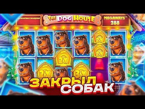 КУПИЛ БОНУС ALL IN ЗА 16.000 В DOG HOUSE MEGAWAYS И ПОЙМАЛ ЭТОТ ЗАНОС...