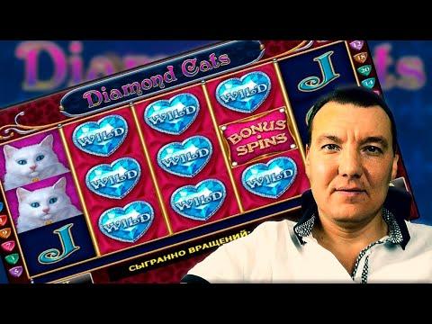 DIAMOND CATS | СЛОТВИВЕР ТОП ЗАНОСЫ В КАЗИНО ОНЛАЙН | ЛИЦЕНЗИОННЫЕ ИГРЫ В ОПИСАНИИ 