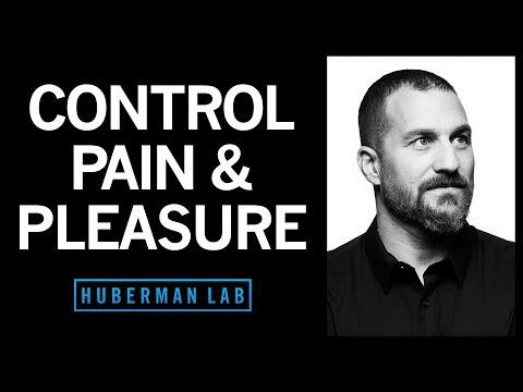 How To Control Your Sense Of Pain & Pleasure | Huberman Lab Podcast #32