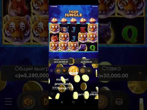 Tiger Jungle 20 Milion Berdi занос недели Casino Slots Bigwin Mazza