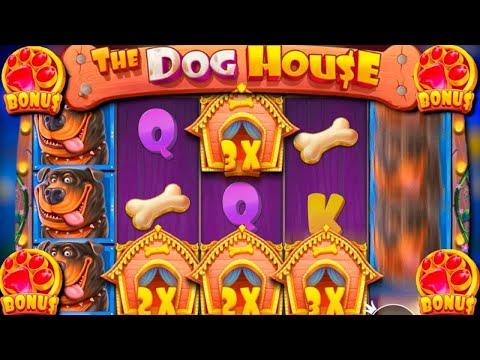 РАЗНОС DOG HOUSE! АПНУЛ 50 ТЫСЯЧ!