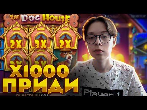 ЧИЗИ ИГРАЕТ В ОНЛАЙН КАЗИНО 1WIN! РОЗЫГРЫШИ ДЛЯ РЕФЕРАЛОВ!