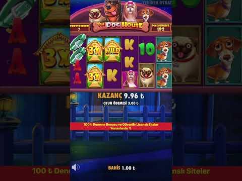 Tek Spinde Karabaşlı 5000x İzlediniz Mi ? - The Dog House Megaways Rekor - #casino #slot #shorts