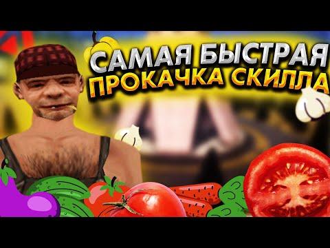 КАК БЫСТРО ВКАЧАТЬ СКИЛЛ ФЕРМЕРА НА АМАЗИНГ ОНЛАЙН ? ОГРОМНЫЙ ЗАРАБОТОК НА ФЕРМЕ АМАЗИНГ РП ! CRMP