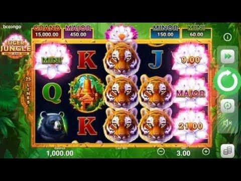 1XBET KAZINO SLOT GAMES TIGER JUNGLE O'YINI TOMOSHA QILAMIZ