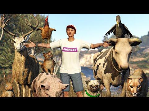 ПОЛНЫЙ обзор РЕЖИМА РЕЖИССЁРА в GTA 5