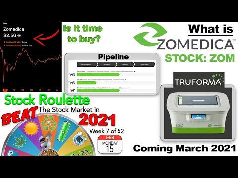 What Is Zomedia? Is ZOM Stock A Buy? Week 7 Stock Roulette Pick.